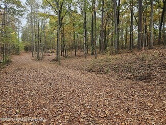 31 Redbud Rd, Dadeville, AL 36853