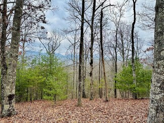275 Raccoon Run Unit Lot 24, Marshall, NC 28753