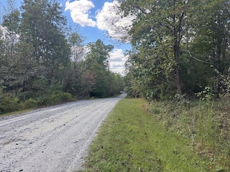 0 Mountain Ridge Ln Unit 57847, Lovingston, VA 22971