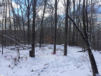 00 Old Fox Squirrel Ridge Rd, Pickens, SC 29671