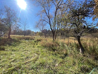 V/L W Edgerton St, Howard City, MI 49329