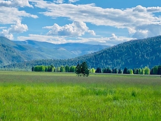 20 Cabinet View, Trout Creek, MT 59874