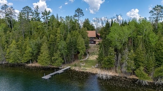 50631 Newburg Ln, Bigfork, MN 56628