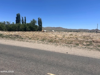 557 Pete Hendrichs Rd, Yerington, NV 89447