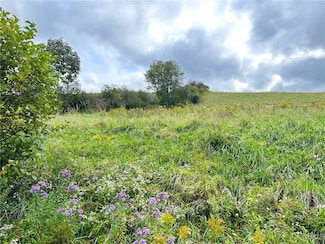 0 Buck Rd Unit S1609272, Otsego, NY 13337