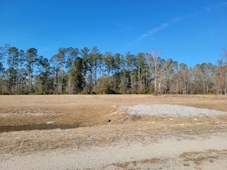 0 Academy Rd Unit Lot 6 25012269, Walterboro, SC 29488