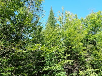 Lot 5 Winkumpaugh Rd, Orland, ME 04472