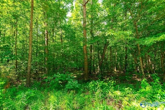 Bobo Section Bobo Section Rd, Hazel Green, AL 35750