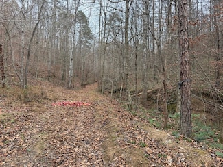 0 S Rock Lick Road Lot Unit Wp001, Jackson, KY 41339