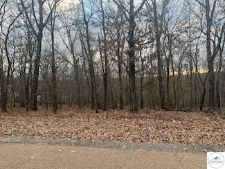 TBD Escapade Ln, Cole Township, MO 65355