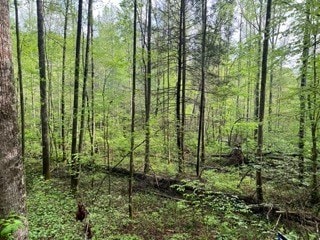 102 Bear Den Trail, Grandview, TN 37337