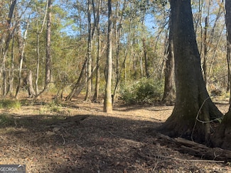 2 Henry Moxley Rd, Cobbtown, GA 30420