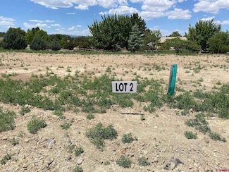 Lot 2 6700 Rd, Montrose, CO 81401