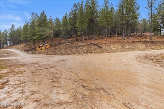 2972 S Fork Ridge Rd, Smelterville, ID 83868