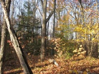 Lot 4 Presbyterian Rd, Townsend, WI 54175
