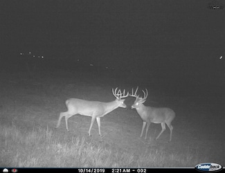 0 Farm To Market 367, Electra, TX 76360