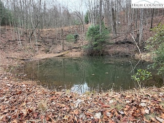 Lot 218 Casey Mountain Rd, Purlear, NC 28665
