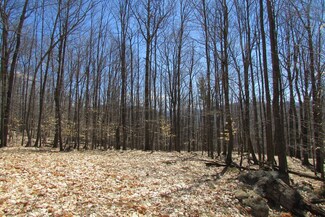 Parcel 6 Moose Hill Way, Keene, NY 12942