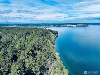 10111 Totem Way, Anderson Island, WA 98303