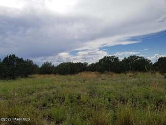 131 E Sidewinder Rd, Williams, AZ 86046