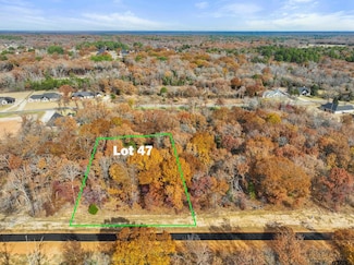 TBD Pr 6306 Lot 47, Mineola, TX 75773