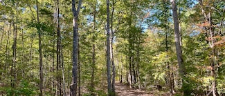 Drakes Main St, Drakes Branch, VA 23937