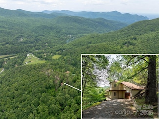 218 McGuffey Ridge Rd, Gerton, NC 28735