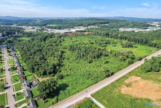 48 Acres Stringfield Rd NW, Huntsville, AL 35810