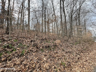 0 Highpoint Dr Unit 1250528, Sevierville, TN 37876