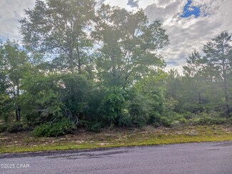 Lot 20 Velvet Dr, Chipley, FL 32428