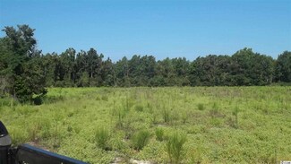 118.5 ac Bert Hanna Rd, Johnsonville, SC 29555