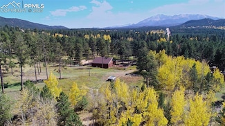 210 Bridlewood Ln, Woodland Park, CO 80863
