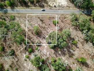 0 Bay Track Ct Unit A11753684, Ocklawaha, FL 32179