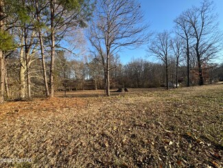 168 Saddle Tree Dr, Three Way, TN 38343