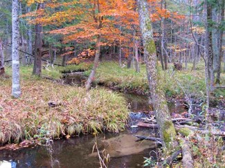 01 Hinton Creek Rd, Wellston, MI 49689