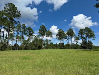 207 Bell Tower Pkwy, Carriere, MS 39426