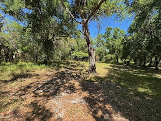 1284 NE River Mill Dr, Arcadia, FL 34266