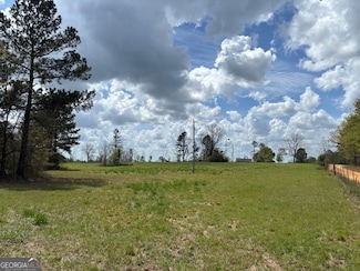 0 Blume Rd, Mitchell, GA 30820