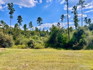 Lot 31 Morgan Ln, Molino, FL 32577