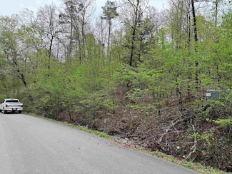 34 Soga Place, Hot Springs Village, AR 71909