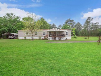 1786 Morgan Whiddon Rd, Perry, FL 32347