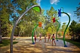 162 Cheswood Forest Place, Montgomery, TX 77316