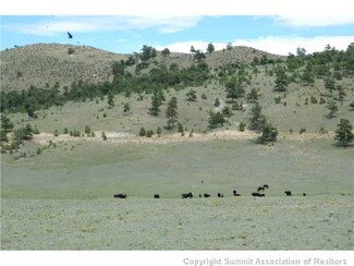 919 S Muley Gulch Dr, Hartsel, CO 80449