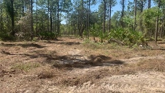 16417 Curlew Rd, Weeki Wachee, FL 34614