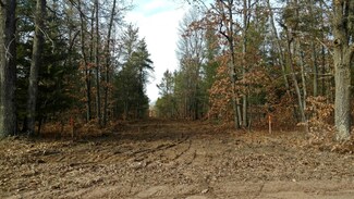 2 S Spruce Rd, Idlewild, MI 49642