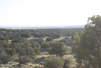 #388 Woodland Valley Ranch -- Unit 388, Saint Johns, AZ 85936