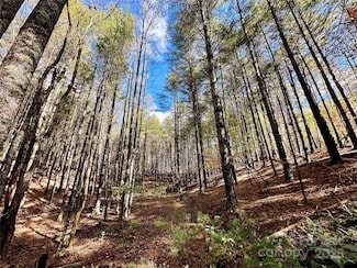 146 Bream Flats Dr Unit 40, Nebo, NC 28761