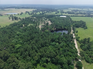 29489 Red Top Rd, Richards, TX 77873