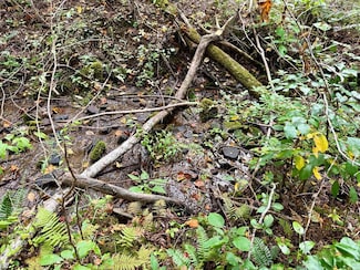 0 Whispering Ridge, Tuckasegee, NC 28783