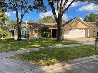 18544 Otterwood Ave, Tampa, FL 33647